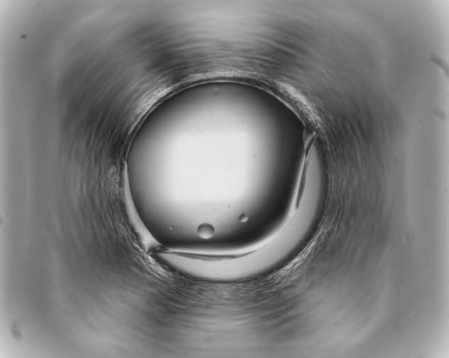 X0000094941177200712201108