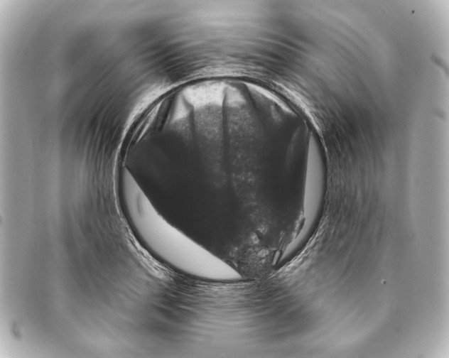 X0000094941179200712201108