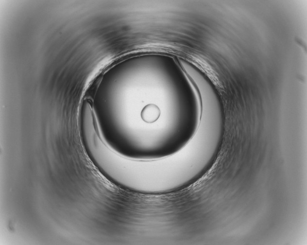 X0000094941180200712201108