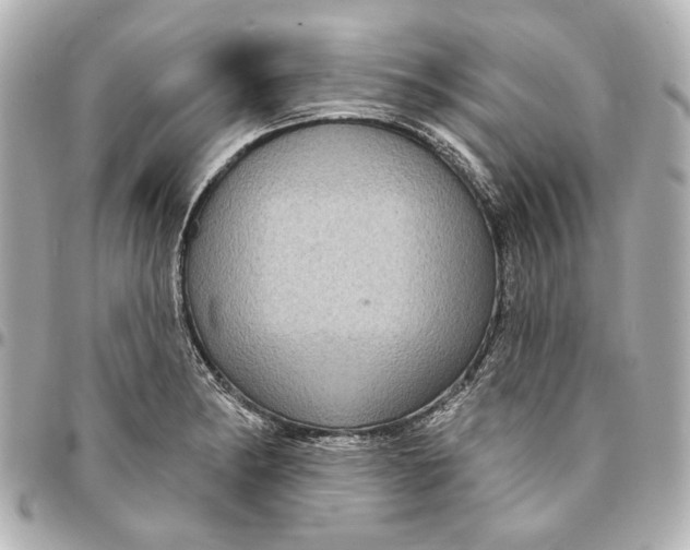 X0000094941182200712201108