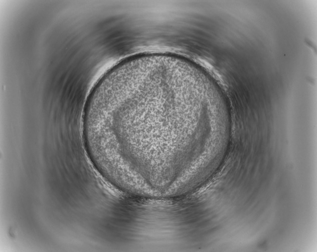 X0000094941183200712201108