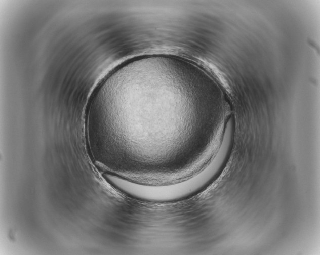 X0000094941184200712201108