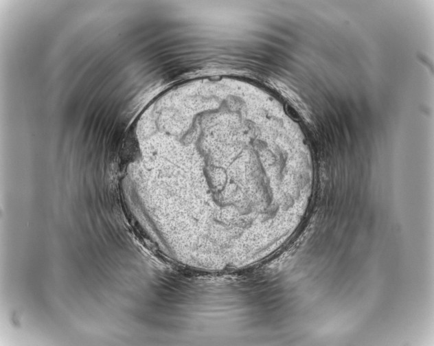 X0000094941185200712201108