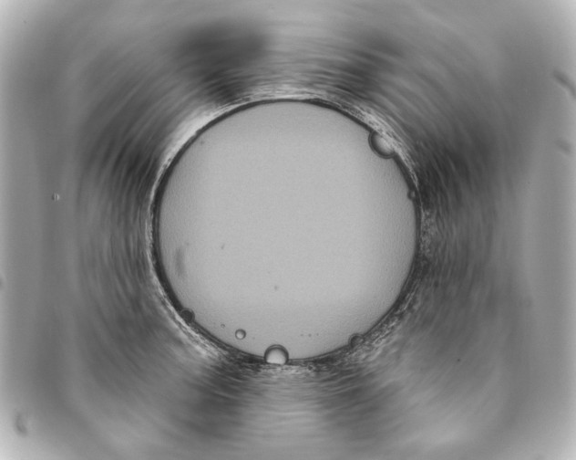 X0000094941187200712201108