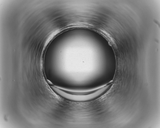 X0000094941188200712201108