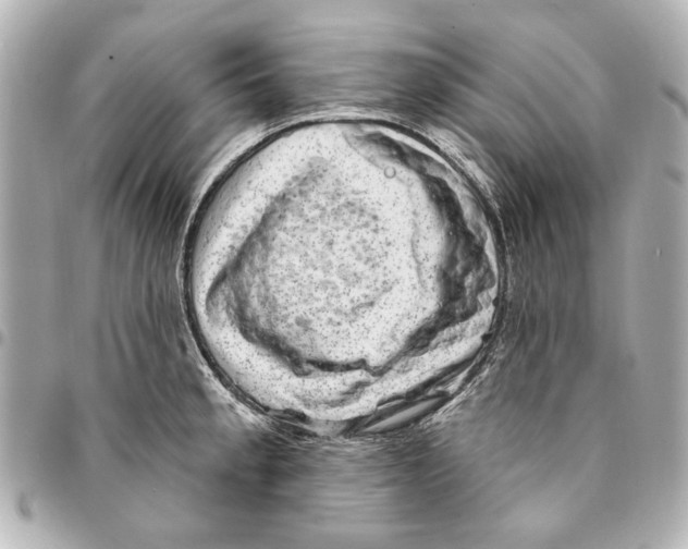 X0000094941189200712201108