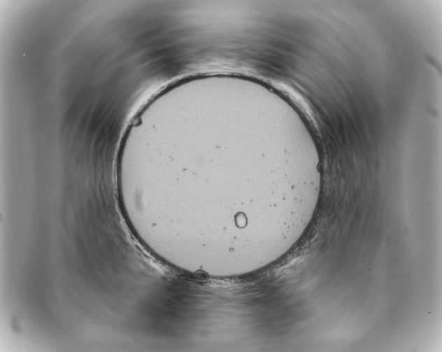 X0000094941191200712201108