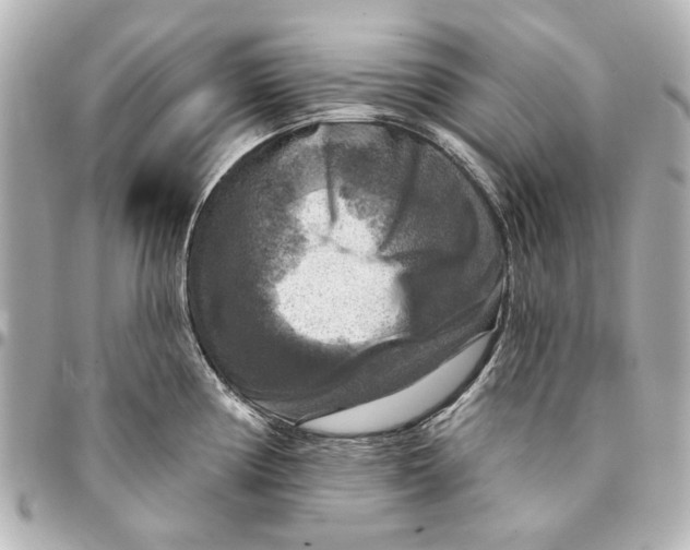 X0000094941194200712201108