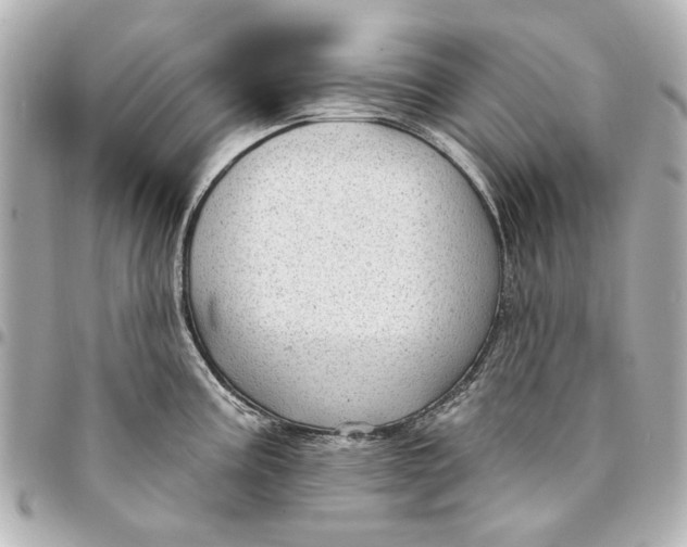 X0000094941195200712201108