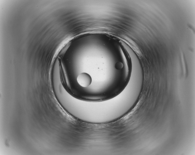 X0000094941196200712201108