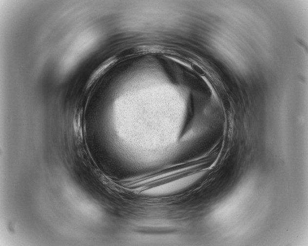 X0000094941198200712201108