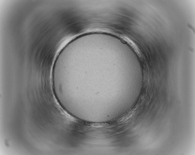 X0000094941199200712201108