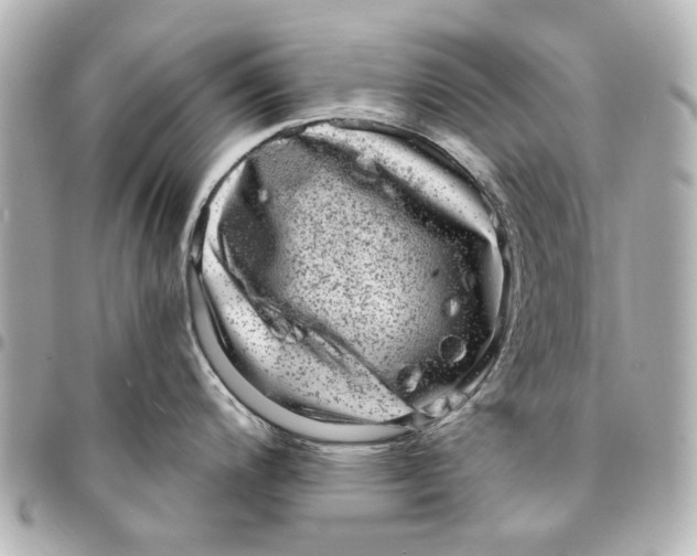 X0000094941200200712201108