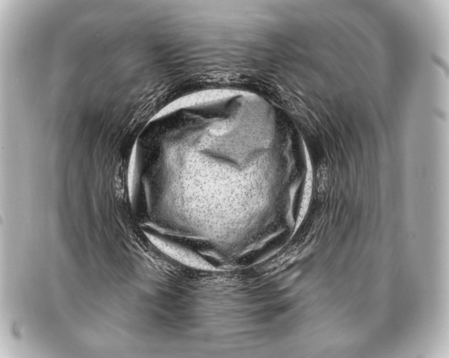 X0000094941202200712201107