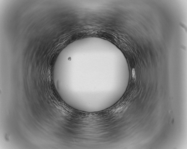 X0000094941203200712201107