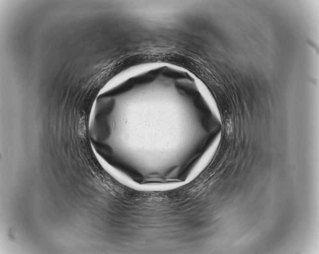 X0000094941204200712201107