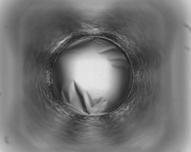 X0000094941205200712201107