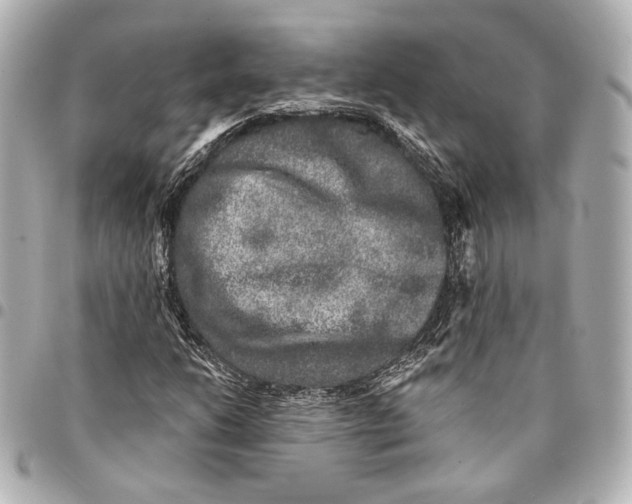 X0000094941206200712201107