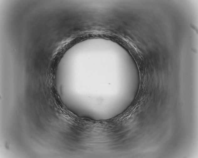 X0000094941207200712201107