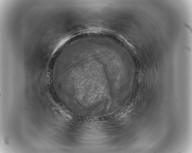 X0000094941208200712201107