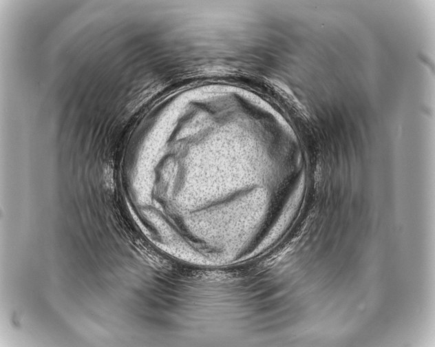 X0000094941209200712201107