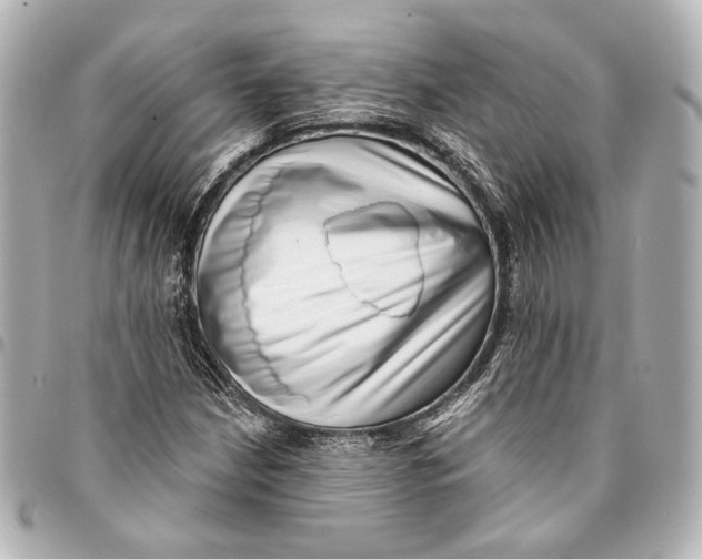 X0000094941210200712201107