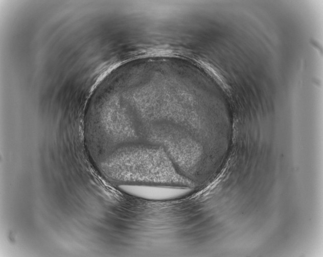 X0000094941212200712201107