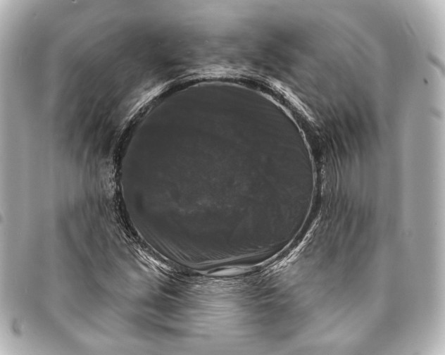 X0000094941213200712201107