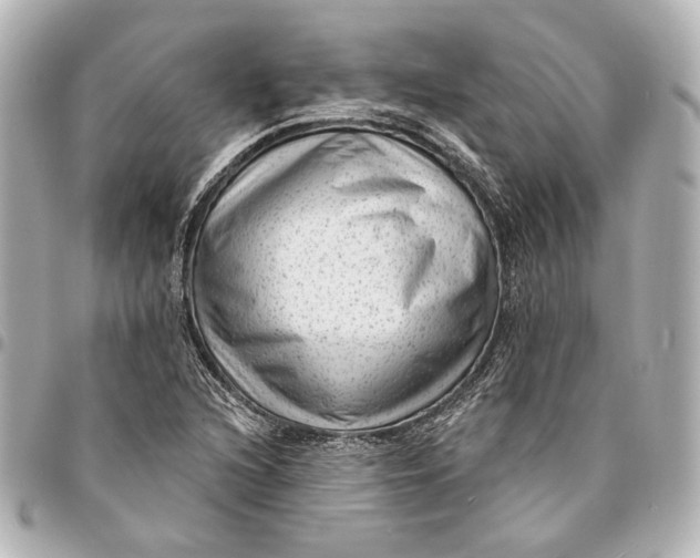 X0000094941216200712201107