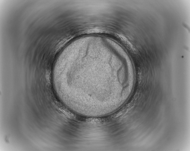 X0000094941217200712201107