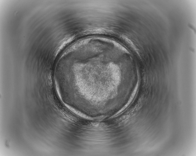 X0000094941218200712201107