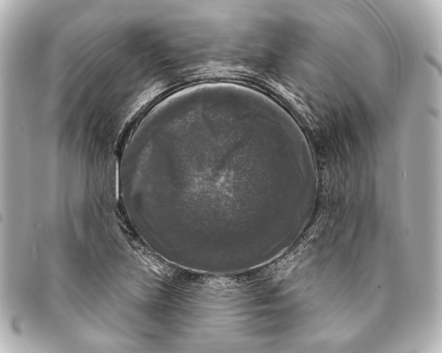 X0000094941219200712201107