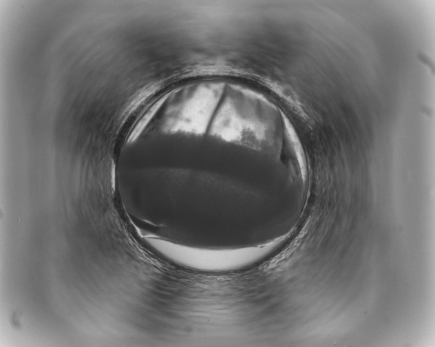 X0000094941221200712201107