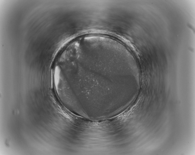 X0000094941223200712201108