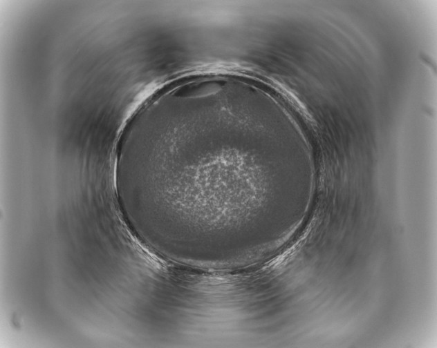 X0000094941224200712201108