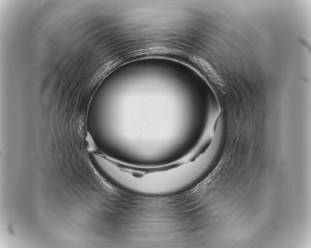 X0000094941225200712201108