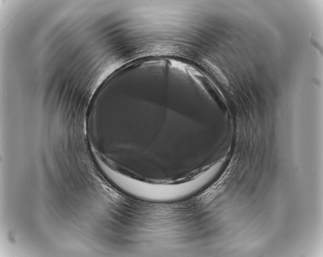 X0000094941226200712201108