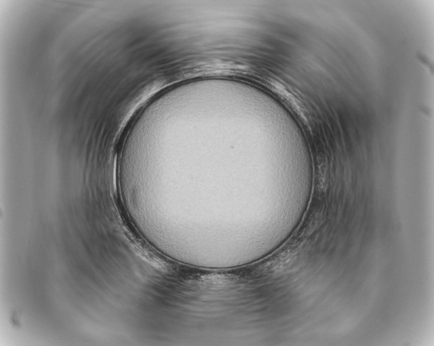 X0000094941227200712201108