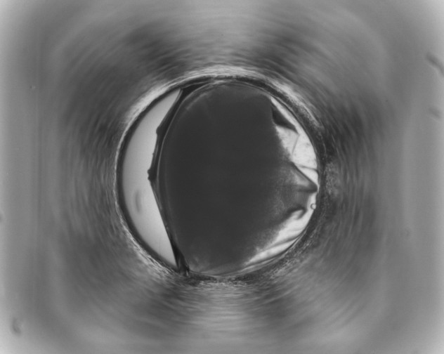 X0000094941229200712201108