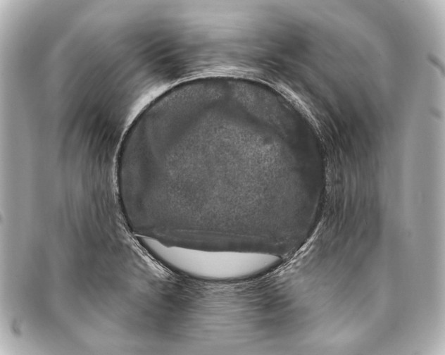 X0000094941230200712201108