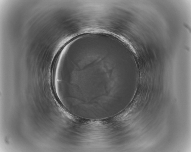 X0000094941231200712201108