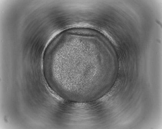 X0000094941232200712201108