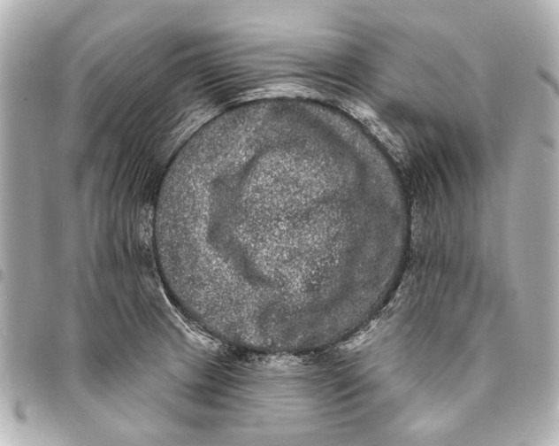 X0000094941233200712201108