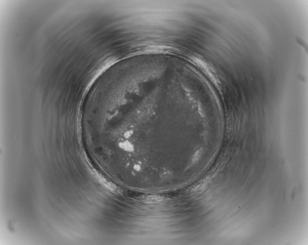 X0000094941235200712201108