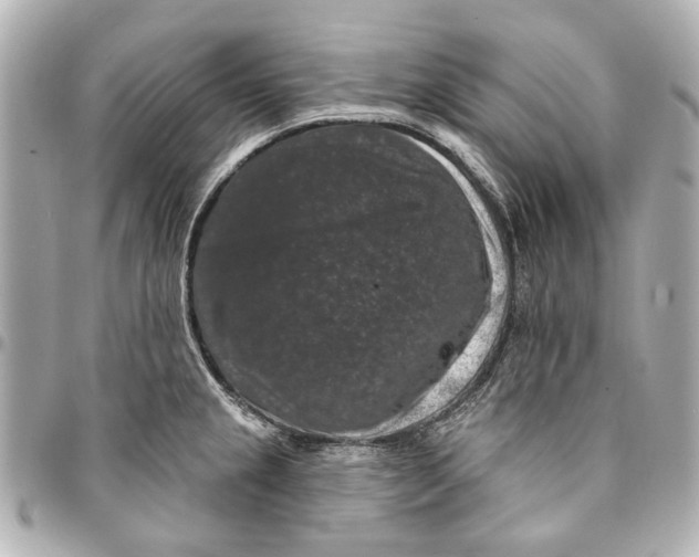 X0000094941237200712201108