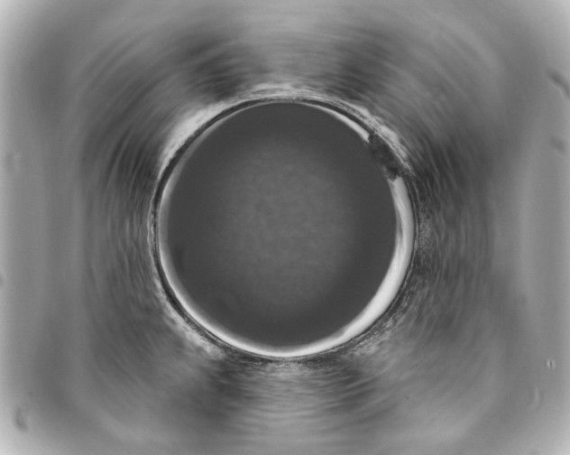 X0000094941239200712201108