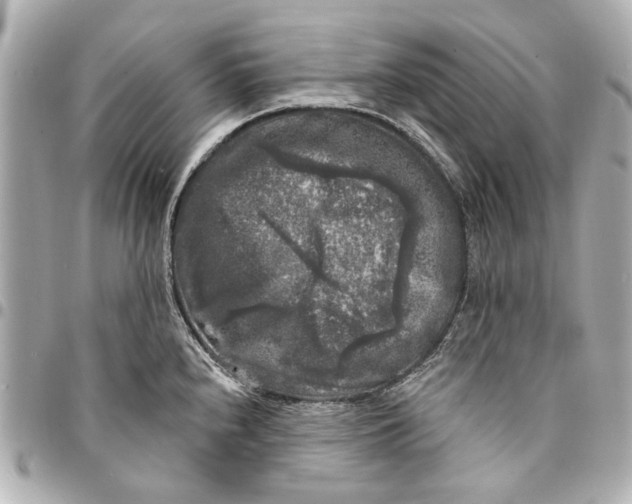 X0000094941240200712201108