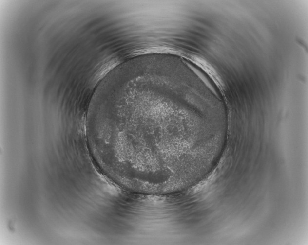 X0000094941241200712201108