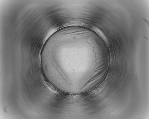 X0000094941242200712201108