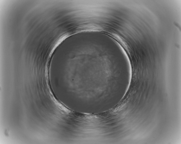 X0000094941243200712201108